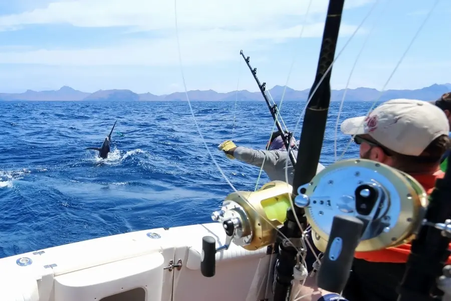 fishing beach del carmen