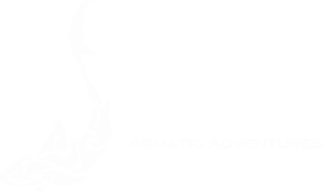DiveX