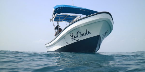 Pesca Mexico