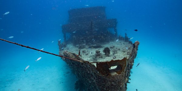 Diving the C-56 Cadete Juan Escutia, a former mine sweeper sunk as an artificial reef off Puerto Morelos in 2000.