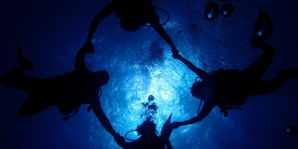 Curso Dive Master Mexico