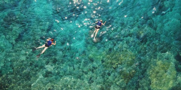 snorkel local